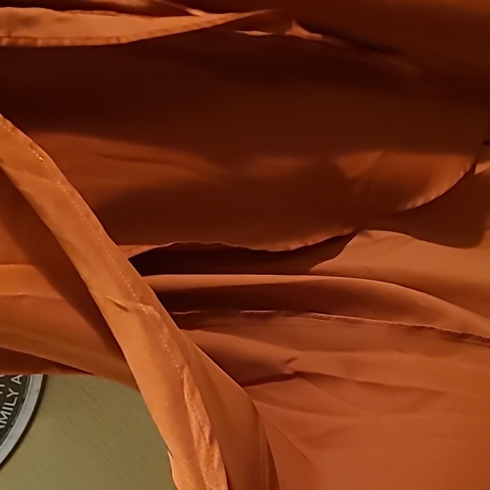 Rust colored Dress - Picture 4 of 4